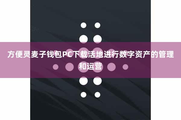 方便灵麦子钱包PC下载活地进行数字资产的管理和运营