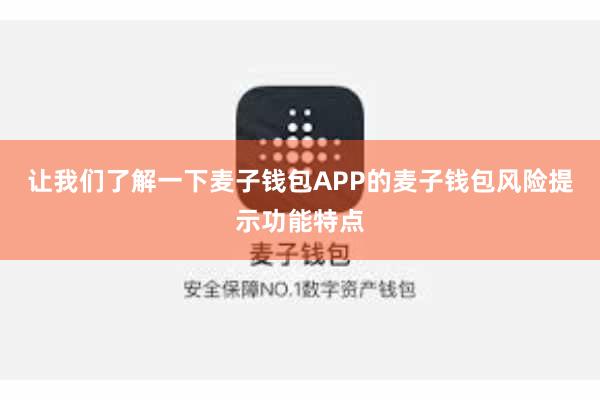 让我们了解一下麦子钱包APP的麦子钱包风险提示功能特点