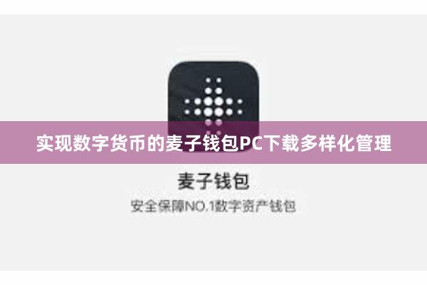 实现数字货币的麦子钱包PC下载多样化管理