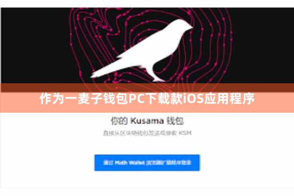 作为一麦子钱包PC下载款iOS应用程序