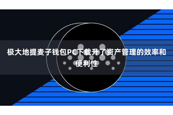 极大地提麦子钱包PC下载升了资产管理的效率和便利性