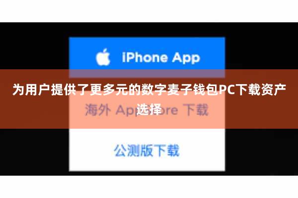 为用户提供了更多元的数字麦子钱包PC下载资产选择