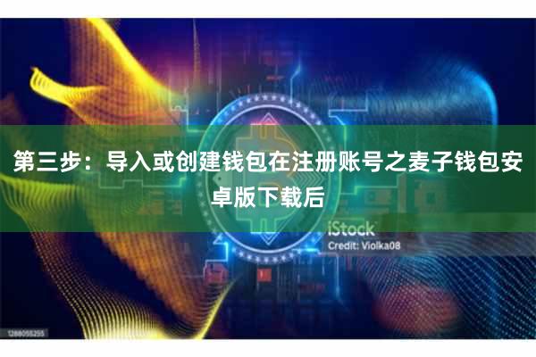 第三步：导入或创建钱包在注册账号之麦子钱包安卓版下载后