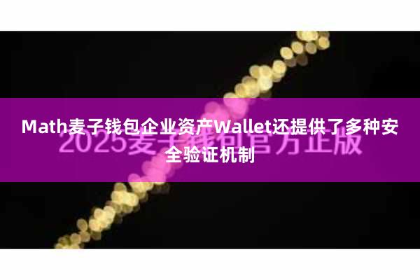 Math麦子钱包企业资产Wallet还提供了多种安全验证机制