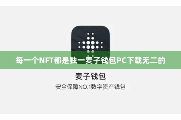 每一个NFT都是独一麦子钱包PC下载无二的