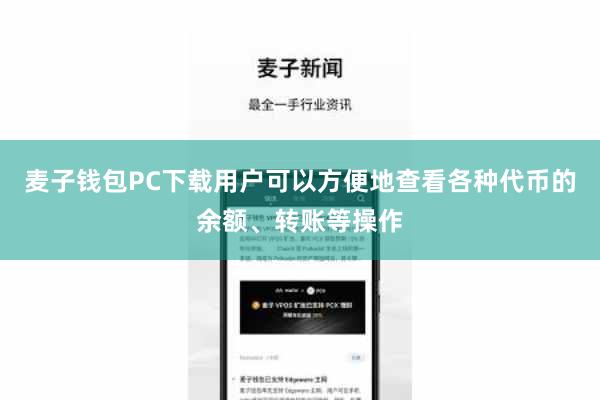 麦子钱包PC下载用户可以方便地查看各种代币的余额、转账等操作