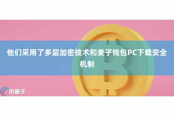 他们采用了多层加密技术和麦子钱包PC下载安全机制