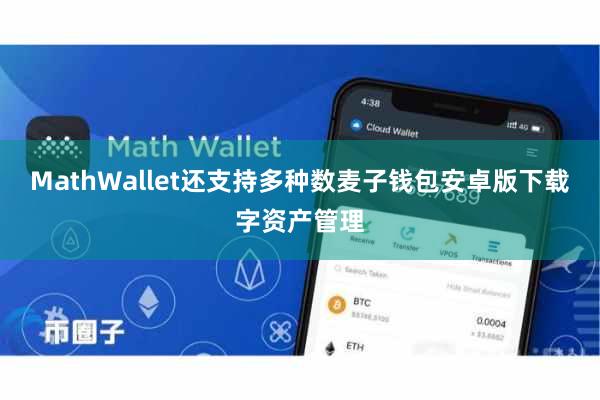 MathWallet还支持多种数麦子钱包安卓版下载字资产管理