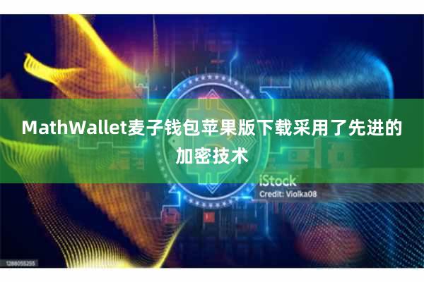 MathWallet麦子钱包苹果版下载采用了先进的加密技术